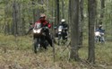 BT_Woods.jpg

51.70 KB 
650 x 404 
03/14/2003
